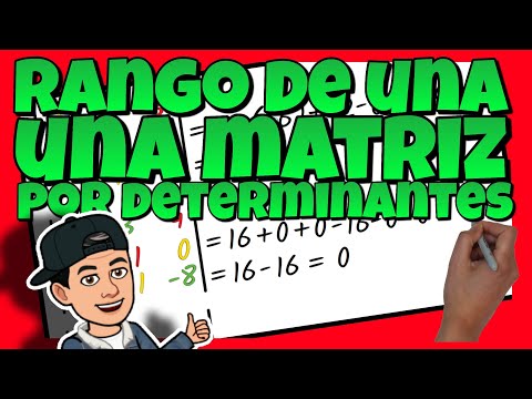 🔢 RANGO de una MATRIZ por DETERMINANTES