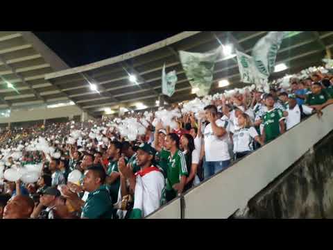 PALMEIRAS x Sampaio *TORCIDA* (SãoLuís)