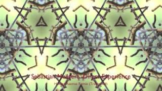 Sebastian Mullaert -  Direct Experience (Hannes Rasmus Remix) Traum 184