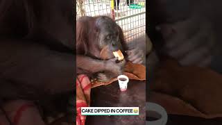 Download lagu π They're more like us than we think #shorts @FurryTails mp3 Download lagu π They're more like us than we think #shorts @FurryTails mp3