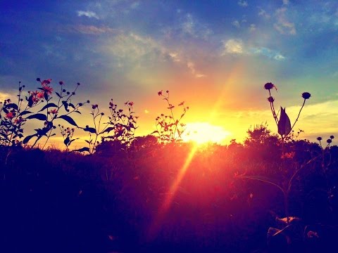 Peace (lyric video) - Kayla Jacobs feat. Sarah Mercedes