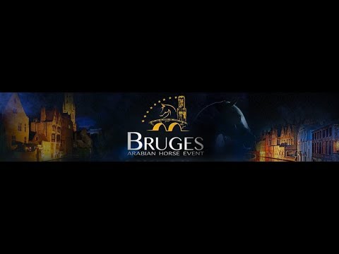 Bruges Arabian Horse Event 2018 - BM28