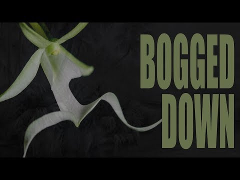 "Bogged Down" creepypasta by Jason Norton ― Chilling Tales for Dark Nights