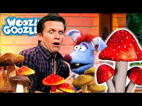 Welche Pilze sind giftig? l WOOZLE GOOZLE