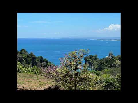 0.9 ACRES – Spectacular Ocean View Lot, Only 10 Minutes From The Marina Pez Vela!!!!