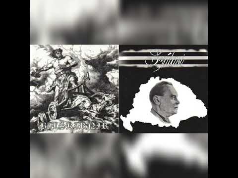 Bilskirnir x Szálasi - s/t [Split] 2002