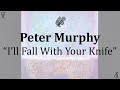Peter Murphy - I'll Fall With Your Knife (karaoke)