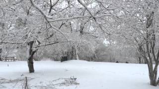 preview picture of video 'Winter Storm Pax Feb 2014-Jefferson, SC'