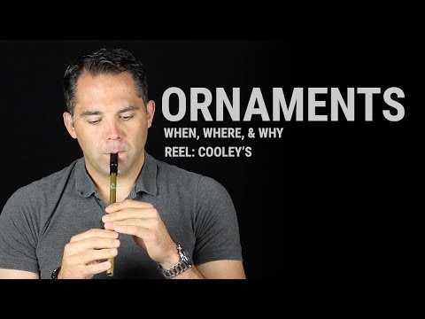 Tin Whistle Lesson - Ornaments: When, Where, & Why (Cooley's Reel)