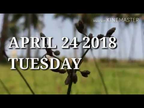 Travelling.... timelapse..24-4-2018 |beach|timelapse|sunset🌞