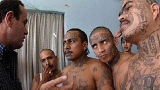 Mara Salvatrucha MS 13 The Ruthless Hispanic Street Gang