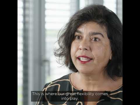 Stefanini: German Family Business