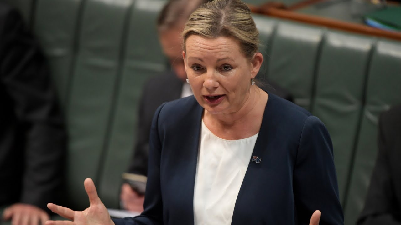 Sussan Ley ‘clueless’ on ‘flawed’ gender pay gap report