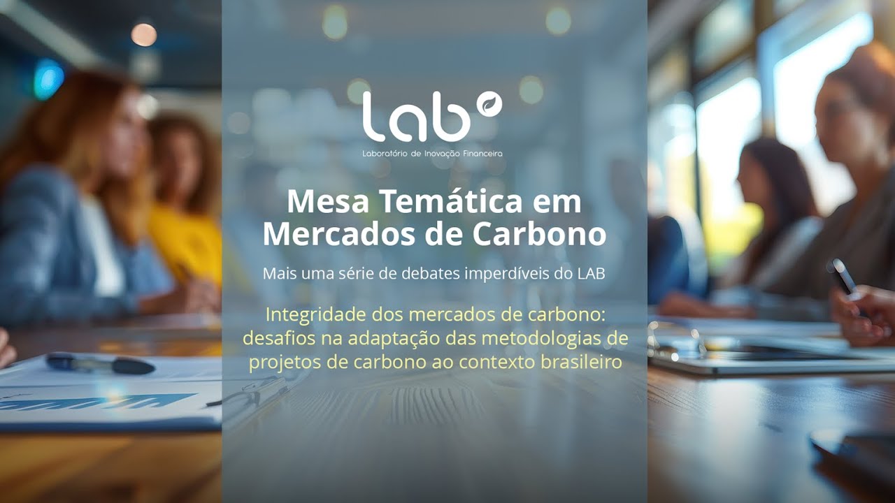 Integridade dos mercados de carbono  desafios na adaptação das metodologias de projetos de carbono