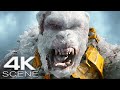 Godzilla King Kong Shimo Vs Skar King 2024 Final Fight Scene Godzilla X Kong The New Empire