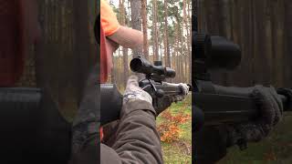 perfekter Schuss auf eine Sau #hunting #sau #drivenhunt #drückjagd