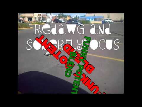 Funky Potent Blend- ft/ Redawg