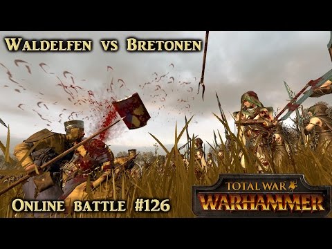 Geköpfte Bauern - Waldelfen vs Bretonen - Total War: Warhammer Online #126