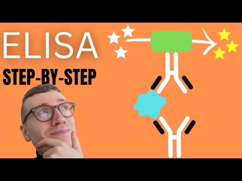 4 Steps of ELISA (Enzyme-Linked Immunosorbent Assay Simply Explained)
