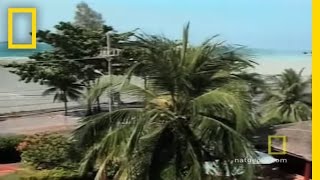 Download lagu Saksi Tsunami | National Geographic mp3 Download lagu Saksi Tsunami | National Geographic mp3