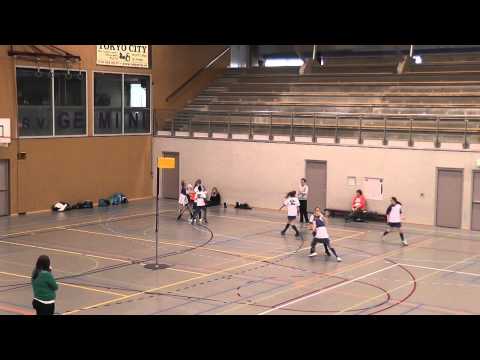 Phoenix D1 Meervogels D1 2