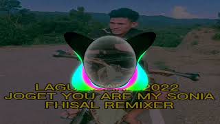 Download lagu JOGET INDIA YOU ARE MY SONIA RMD BY FHISAL REMIXER 2022 mp3