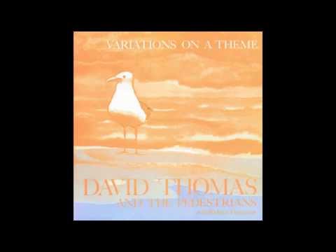 david thomas & the pedestrians - bird town (1983)