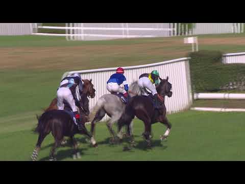 Aarau/12.09.2021/73  Grosser Preis der Schweiz   Swisslos   Sportfonds Aargau un Stadt Aarau