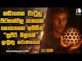 කඩාවැටුනු පිටසක්වල යානයක් නිසා සුපිර