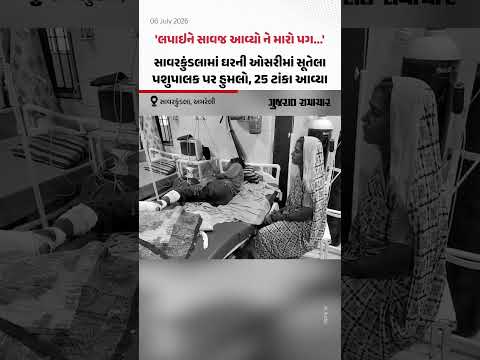 Savarkundlaમાં ઘરની ઓસરીમાં સૂતેલા પશુપાલક પર સિંહ ત્રાટક્યો, 25 ટાંકા આવ્યા Savarkundlaમાં ઘરની ઓસરીમાં સૂતેલા પશુપાલક પર સિંહ ત્રાટક્યો, 25 ટાંકા આવ્યા