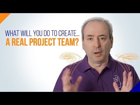 Real Project Team: What Will You Do to Create One?