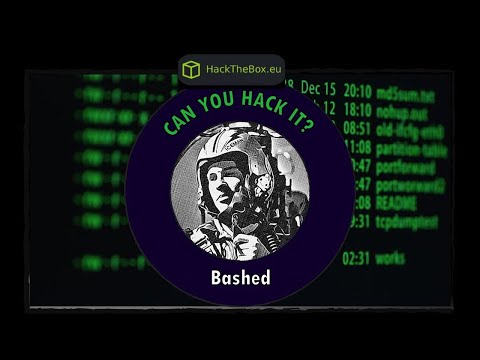 HackTheBox - Bashed | Noob To OSCP Episode #3