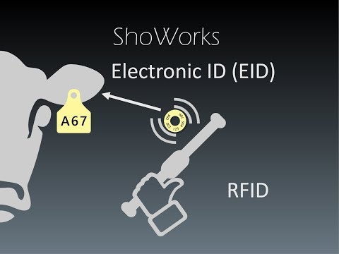 , title : 'Livestock Identification using RFID and EID ear tags with ShoWorks'