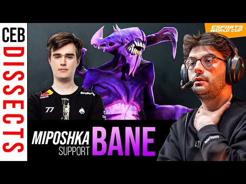 Ceb breaks down Miposhka's "TI WINNING BANE" 📈