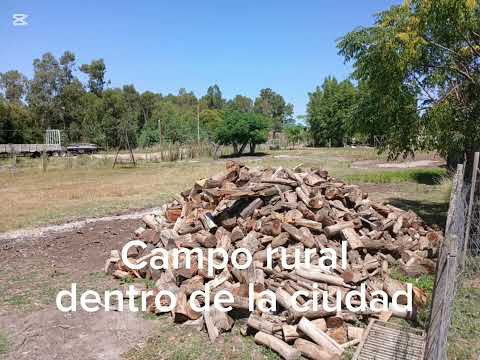 Video de YouTube - Quinta en Florencio Sánchez