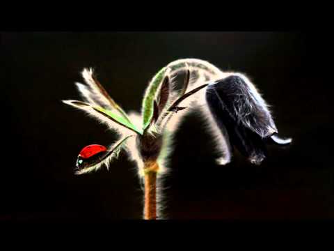 iameb 57 - Crayon Mouth