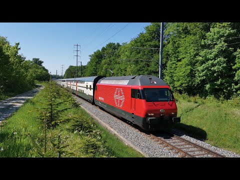 Führerstandfahrt: SBB IR75 Konstanz - Zürich HB