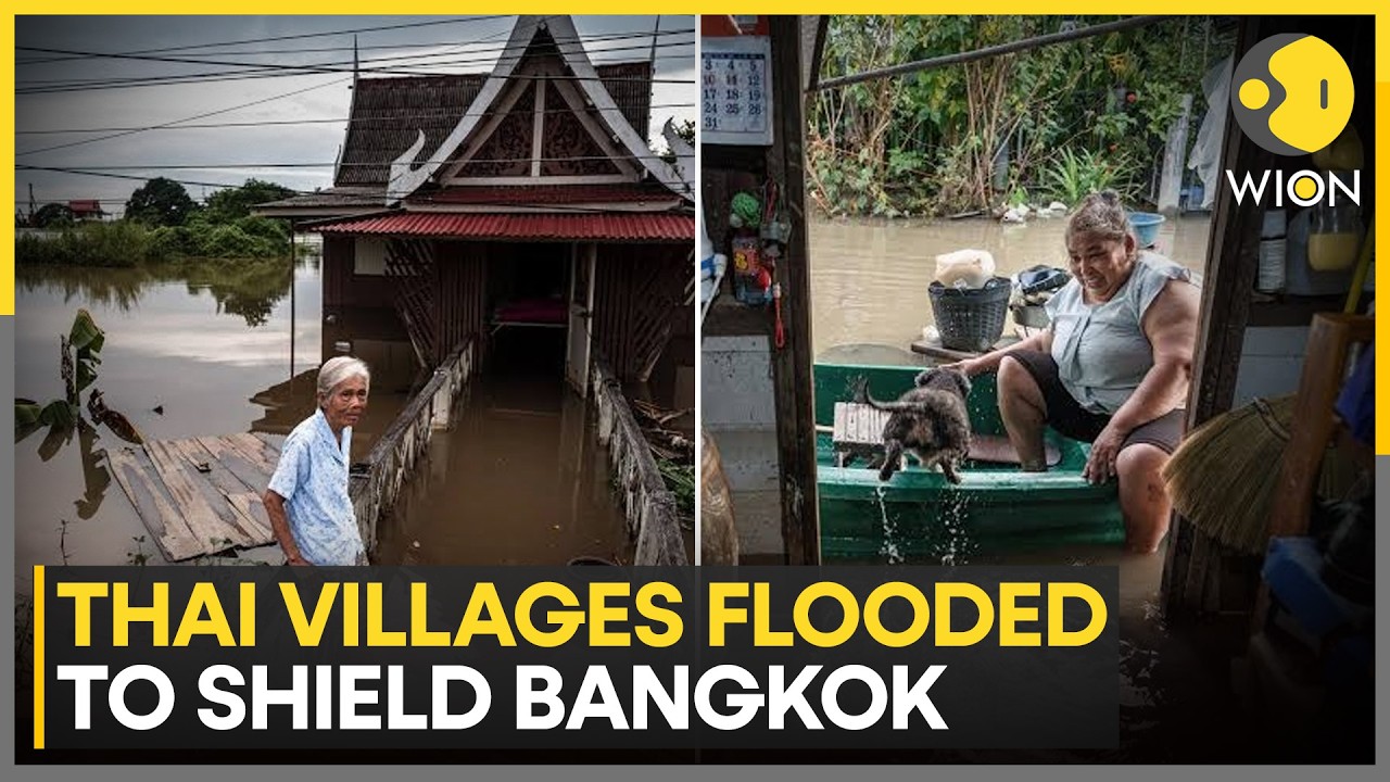 Bangkok's Flood Protection Comes At A Cost For Villages | WION Climate Tracker
