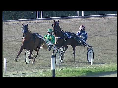 Trotto 20/12/2020 - 2ª corsa