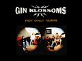 Gin Blossoms - Not Only Numb (LYRICS) FM HORIZONTE 94.3 CHANNEL