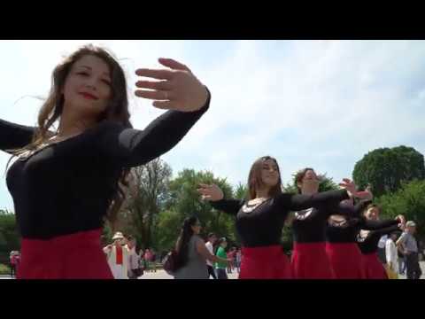 Georgian Dance DC Flash Mob at Lincoln Memorial
