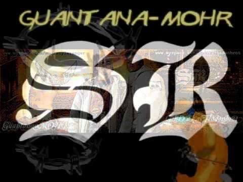 Guantana-MOHR - Unterdrückt