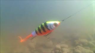 Воблеры strike pro guppie jr