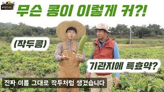 무슨 콩이 이렇게 커?! 완전 작두다 작두 - 버라이어티파머 X 농림축산식품부