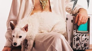 LA Priest - Party Zute / Learning To Love