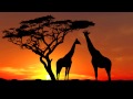 David Guetta Feat. Sam Martin - Lovers On The ...