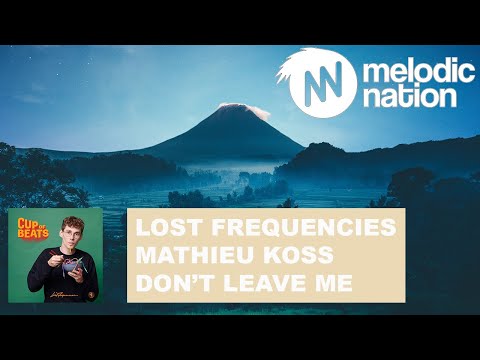 Lost Frequencies feat. Mathieu Koss - Don't Leave Me