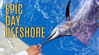 Sailfish, Kingfish, & Triggerfish: Epic Day Offshore in the Florida Keys