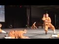 Shaolin Warriors Animal Forms