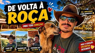 ✨🇧🇷 Organizando a roça 